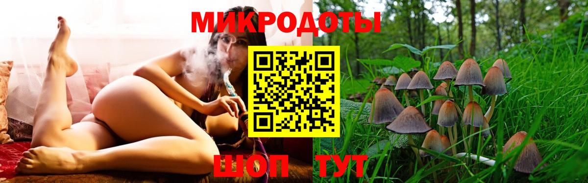 Галлюциногенные грибы Psilocybe  Вход с VPN  Серпухов 